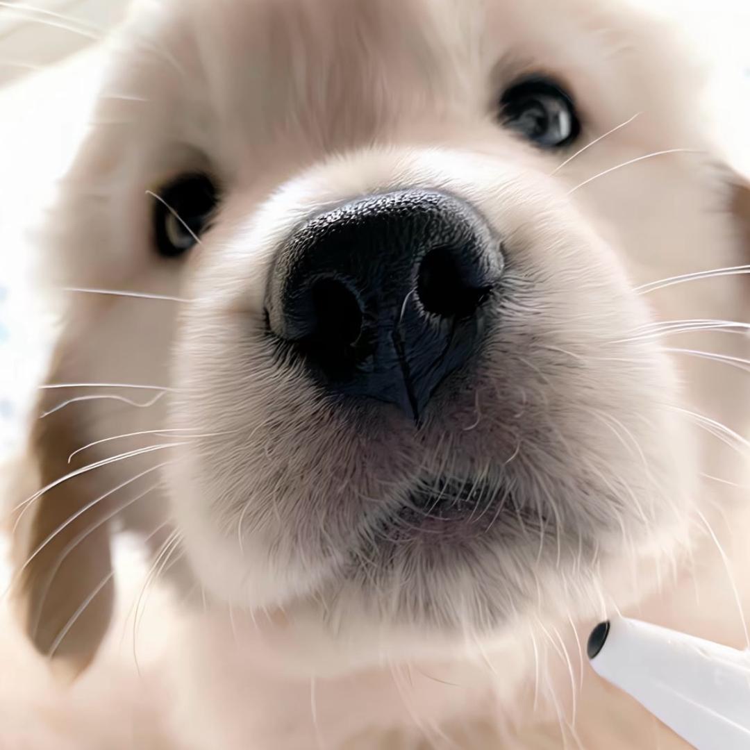小QQ