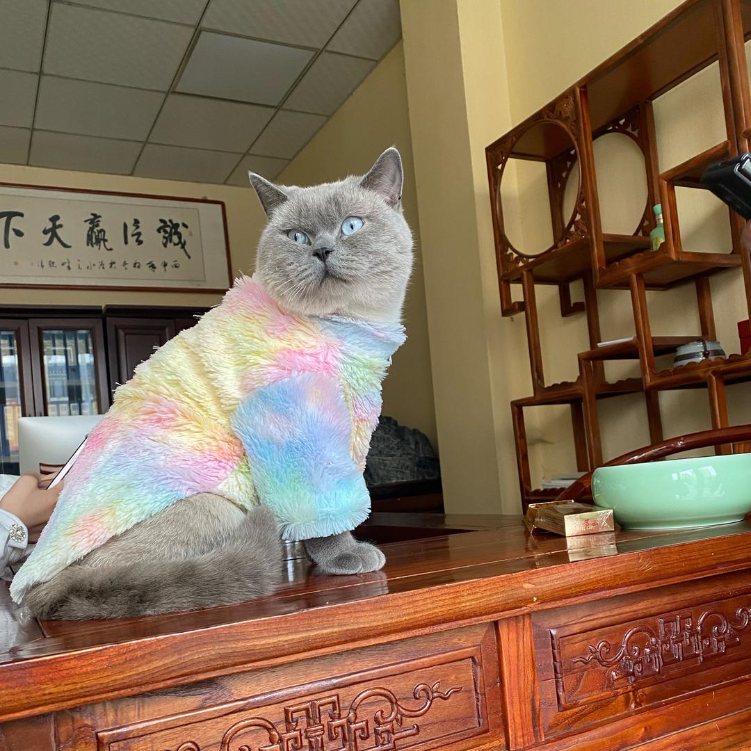 阿帅寄售行