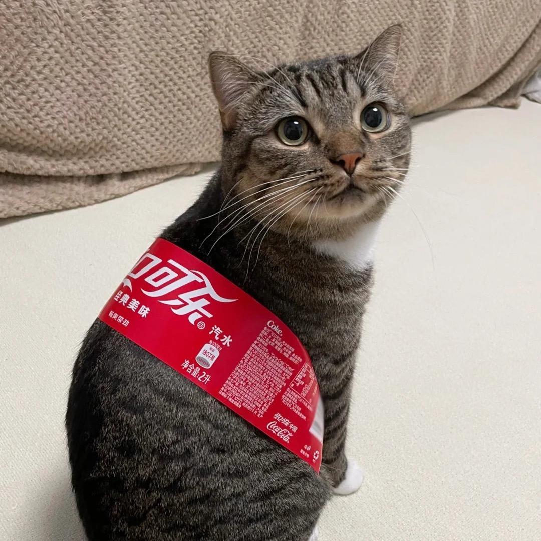 一天三罐可乐