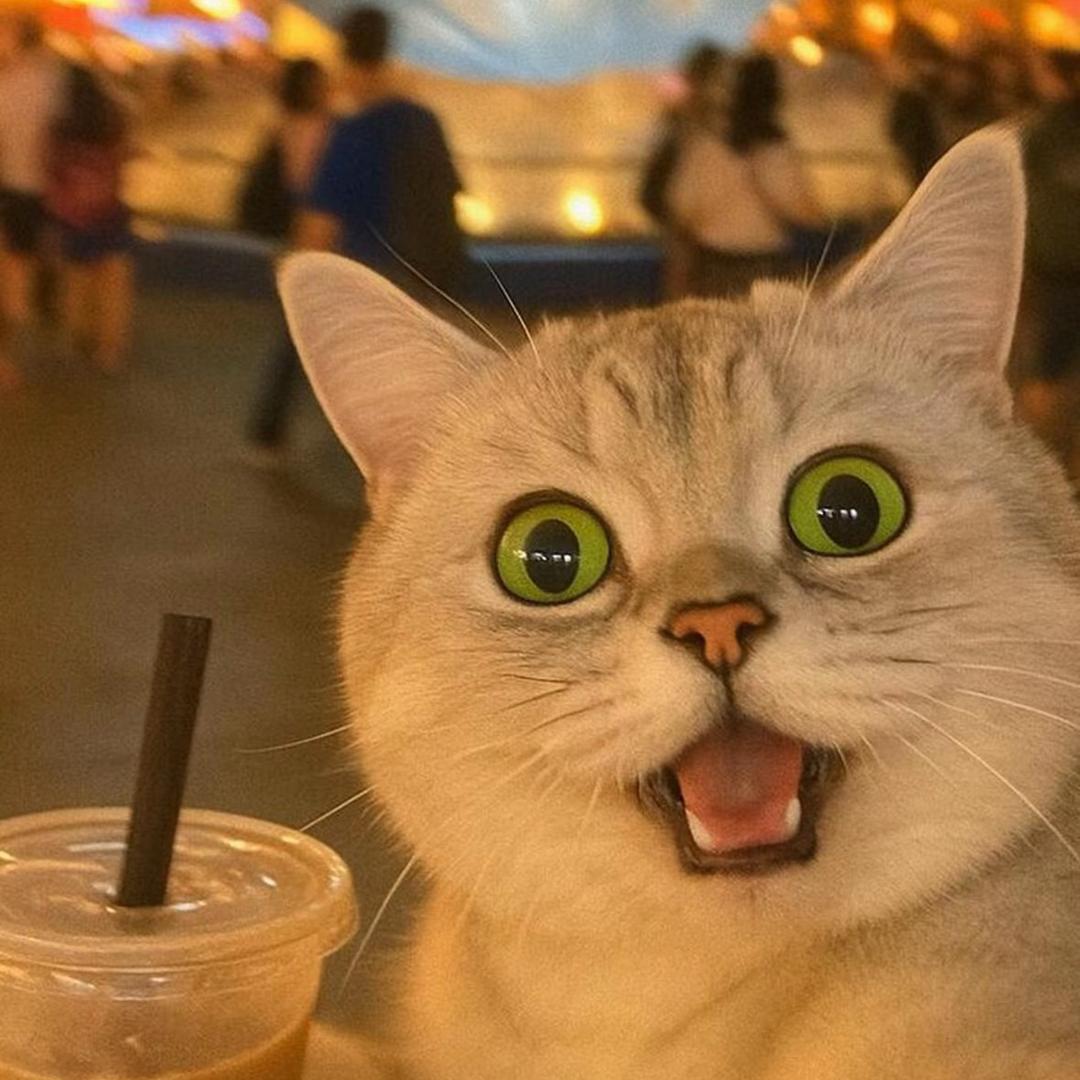 天天