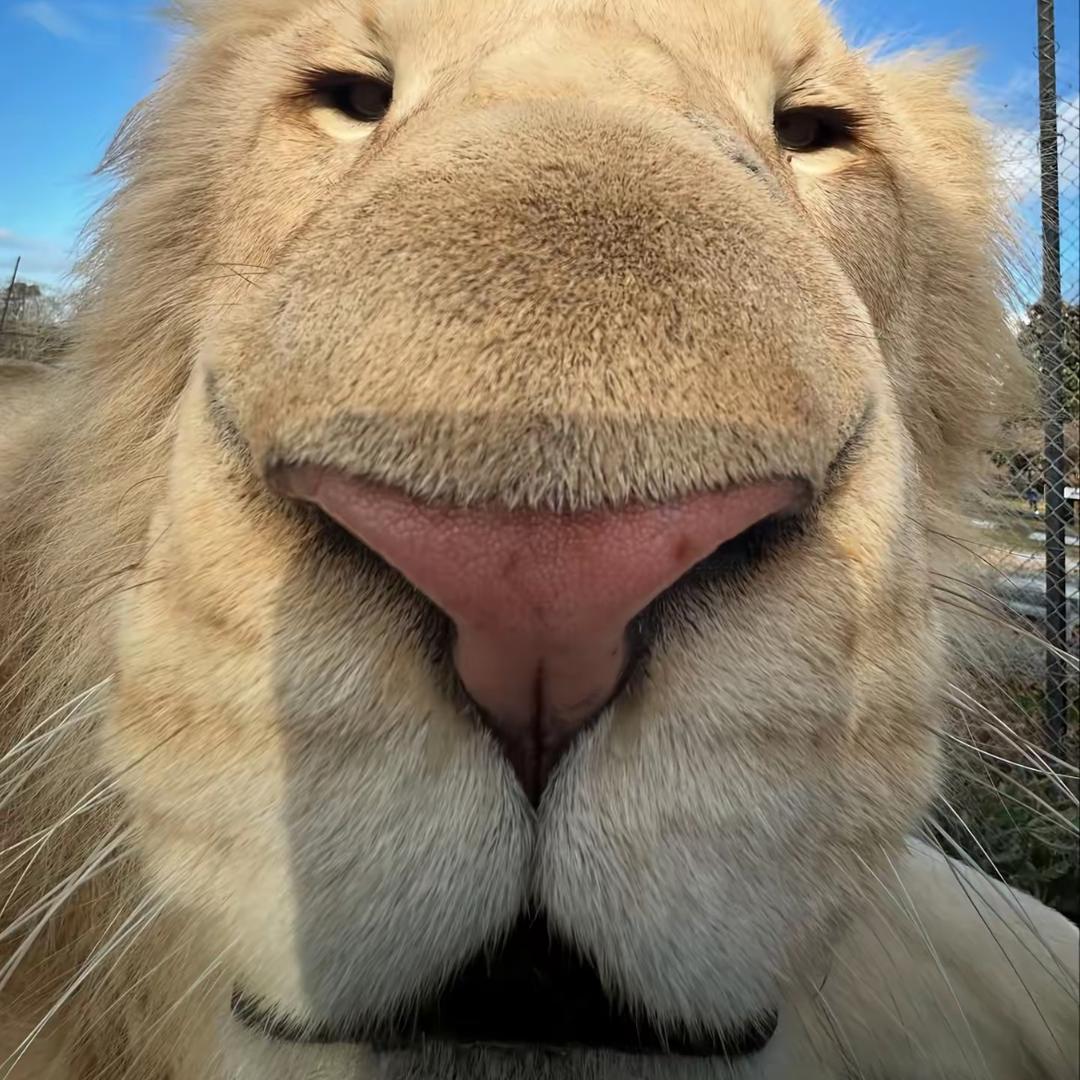 卟呐呐