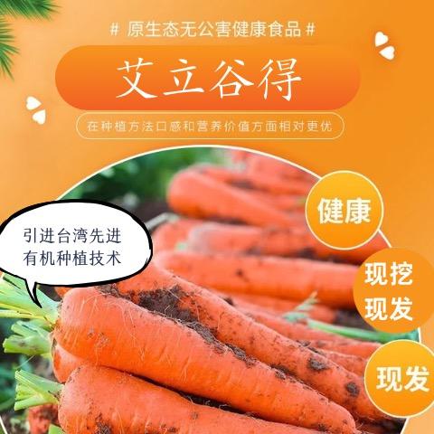 艾立谷得｜有机种植胡萝卜