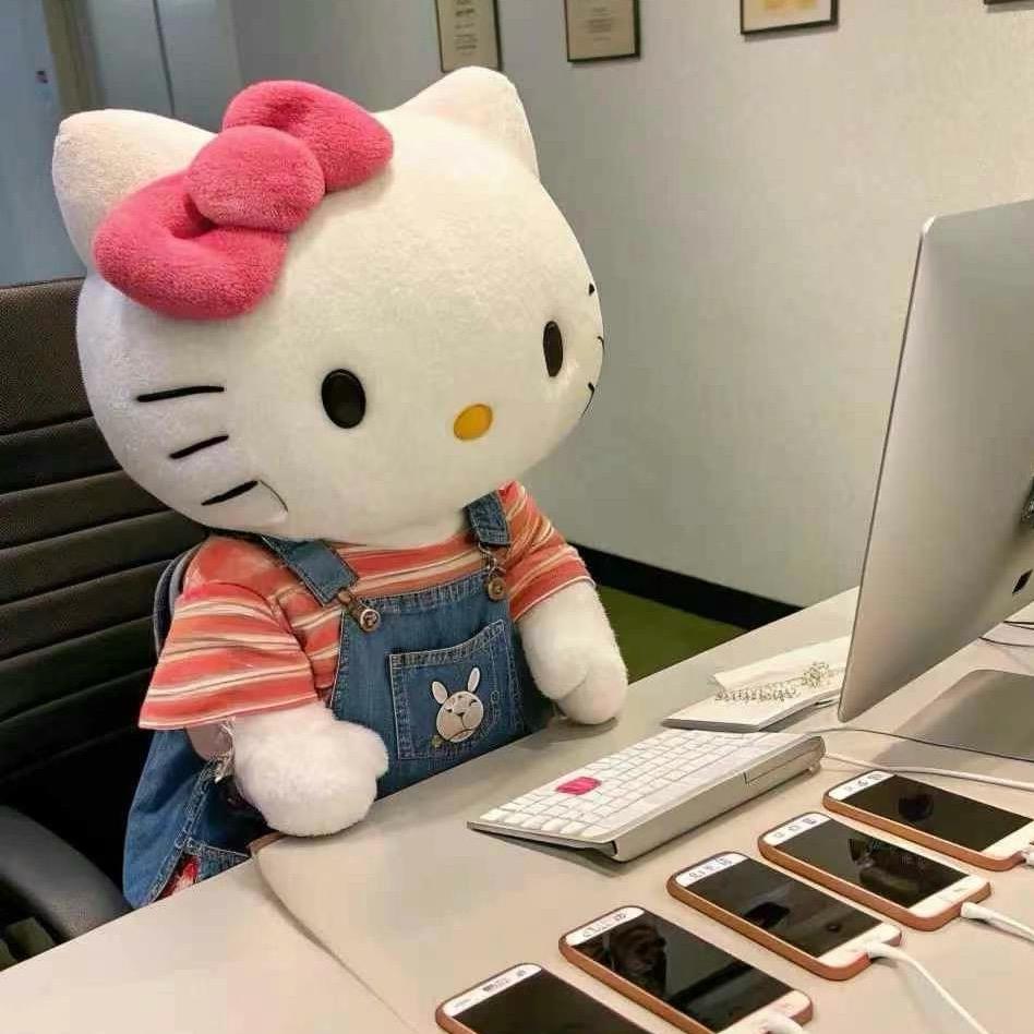 kitty小罗🐰（分享版）