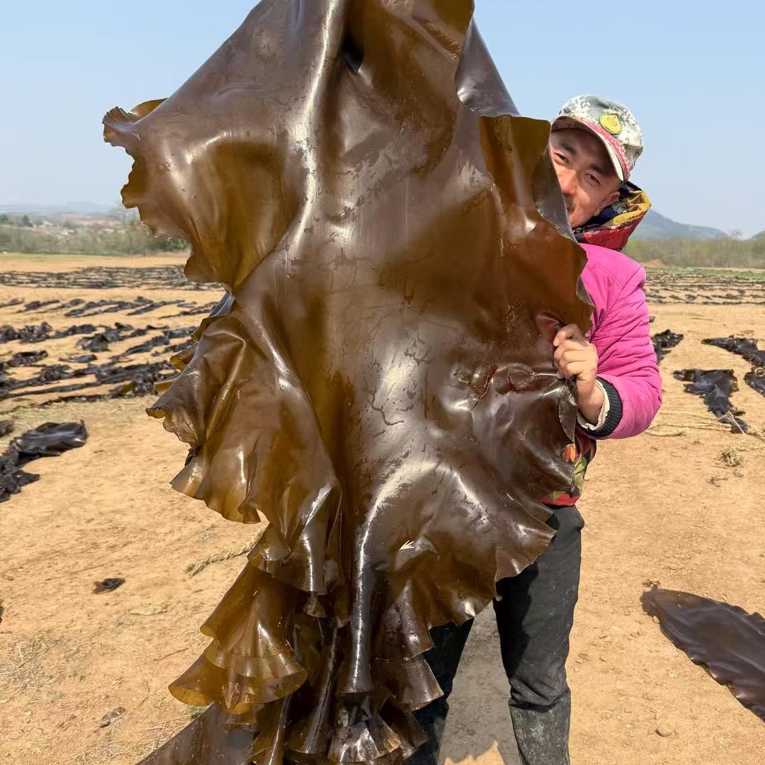 大连剑峰水产优品小铺