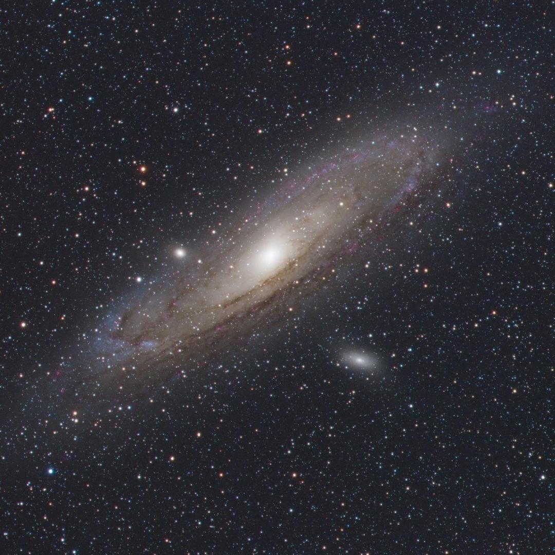 麦扣（Michael ）