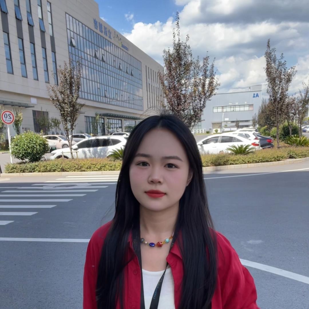 李李在黄石电子厂