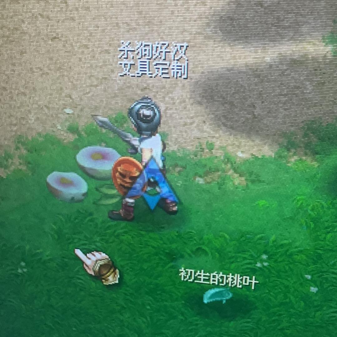 猪肖肖的最爱