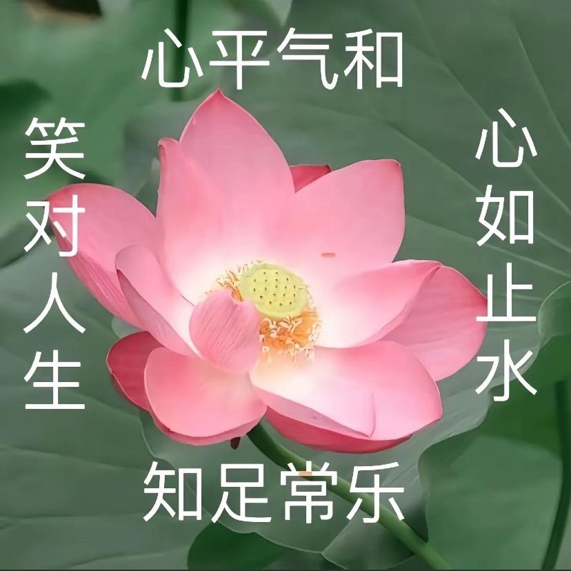 笑对人生