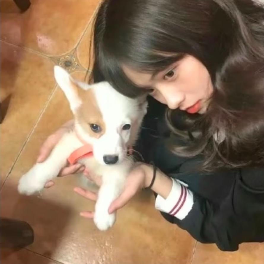 Chipi8