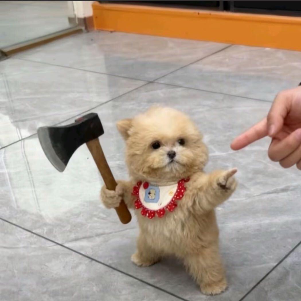 招商达人-徐大漂亮