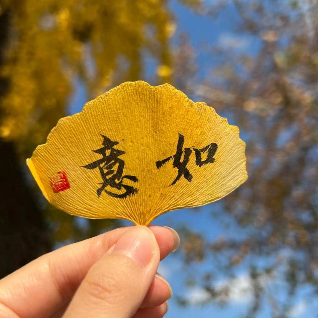 颖川888