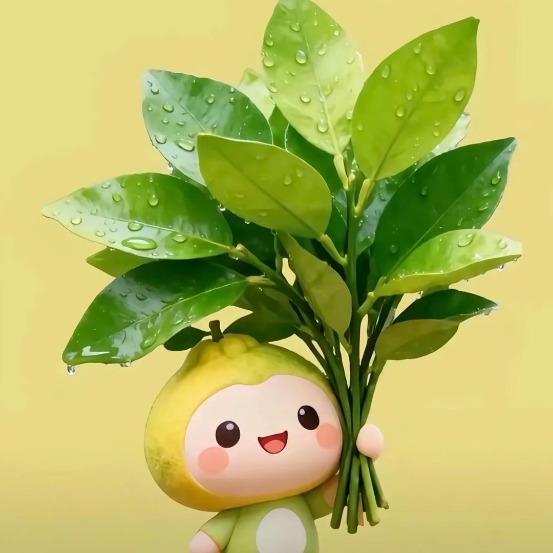 拾 壹