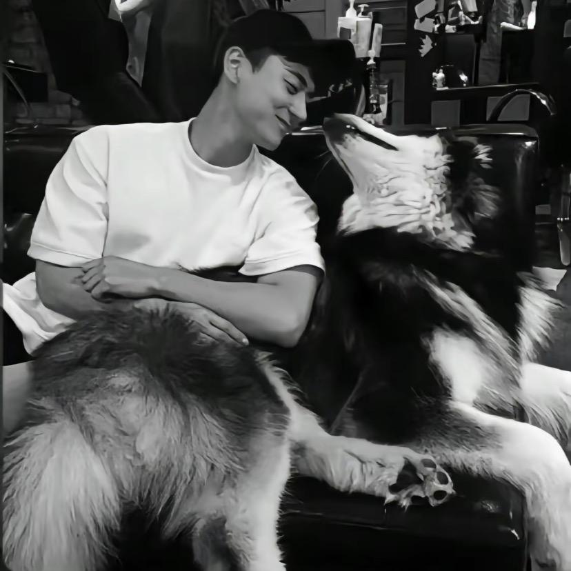 松松有对小兔牙