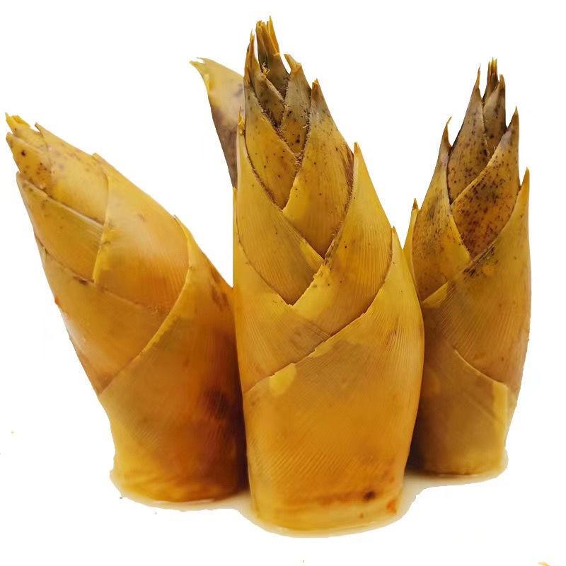 峰子哥爱吃笋