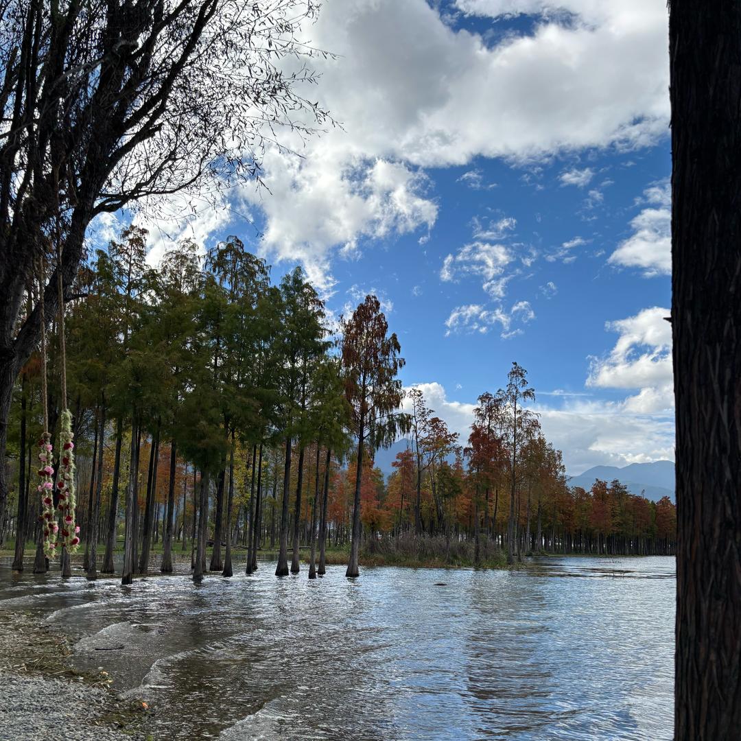 是小杜不是小度