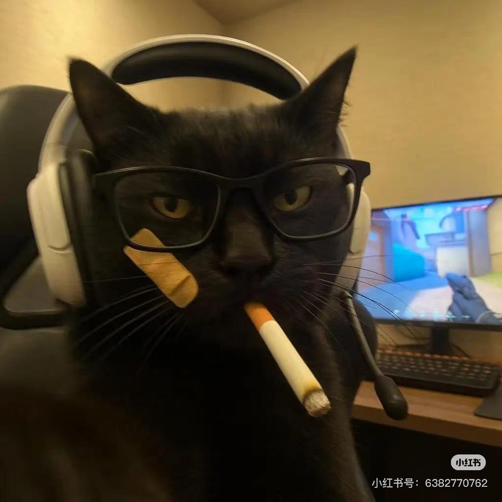 痞尬