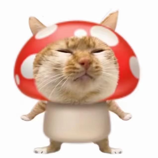 噜啦噜啦