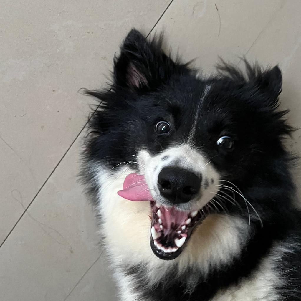 ʲᵐ