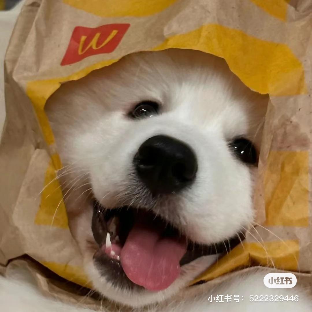 可口可乐.⁹²⁷⁷