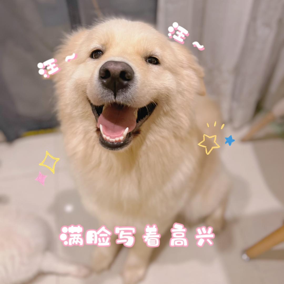 金萨寥寥