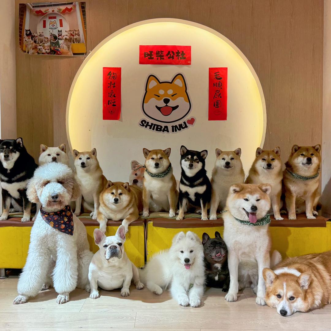 旺柴公社