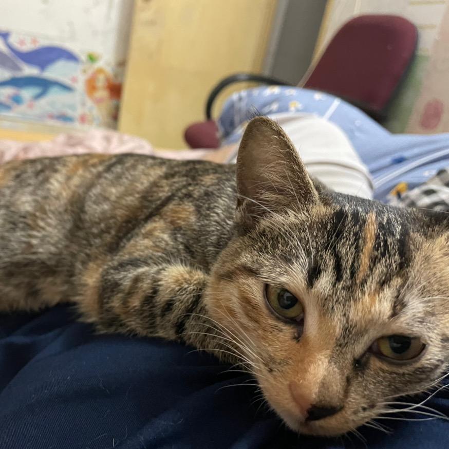 老作死🤷🏽‍♂️