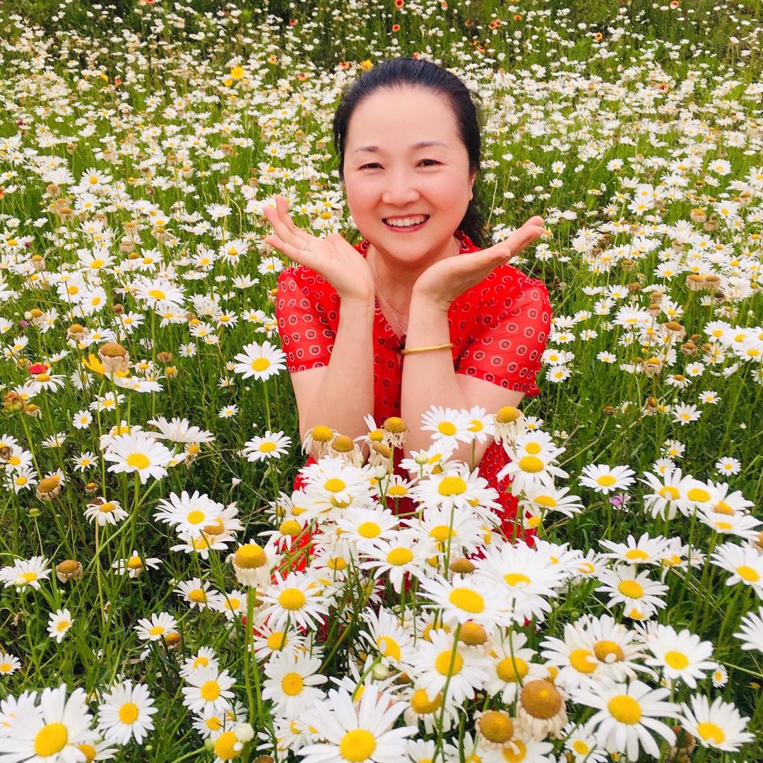 桃花朵朵