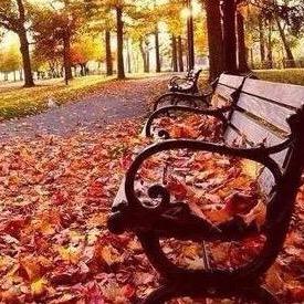 💞杰楠慧💞日丰管（好物在橱窗）