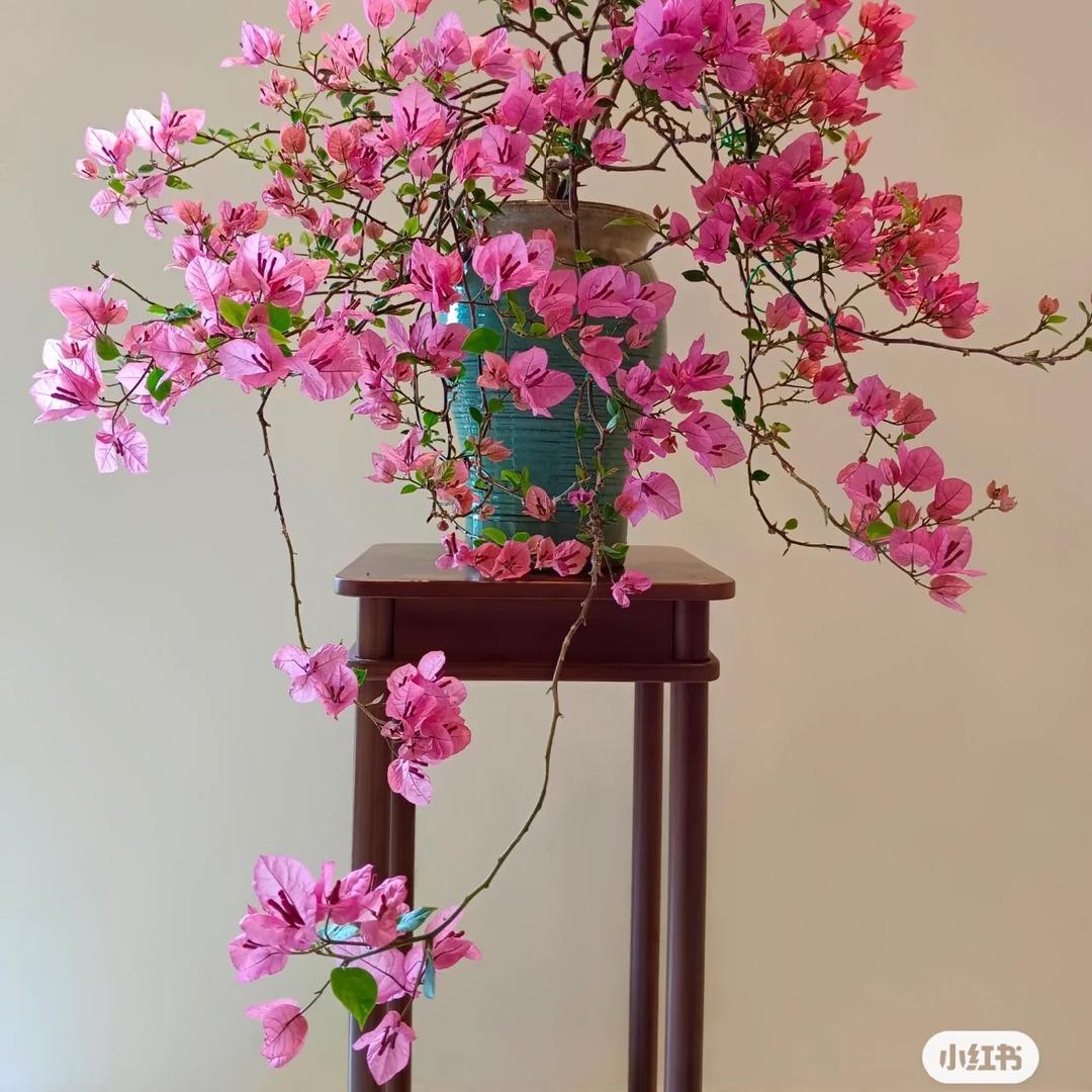 老赵种植养花