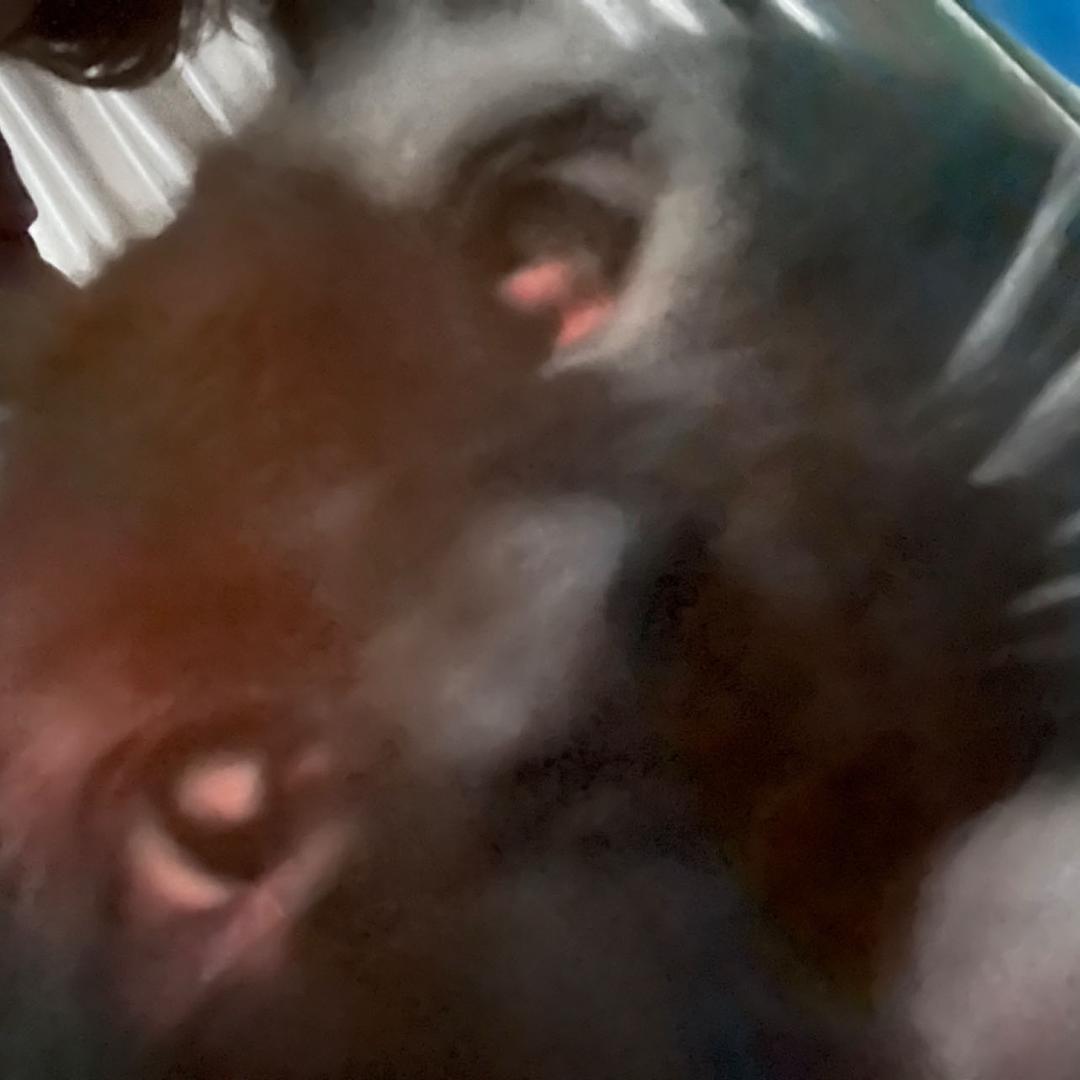 215