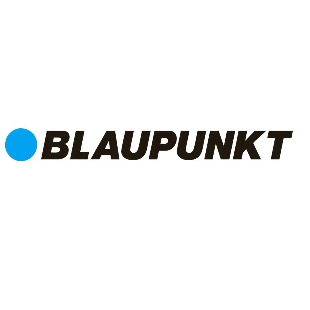 Blaupunkt个人护理旗舰店