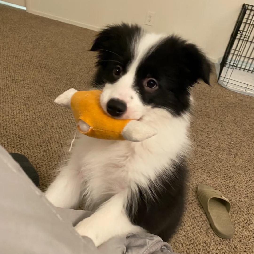 主角（见过王嘉尔版）