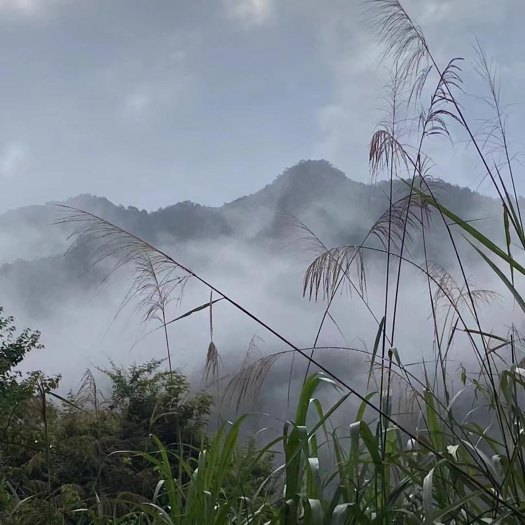 Jimmy         𓆡𓆟𓆝