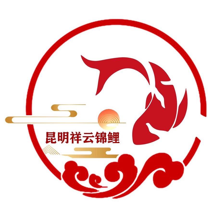 昆明祥云锦鲤
