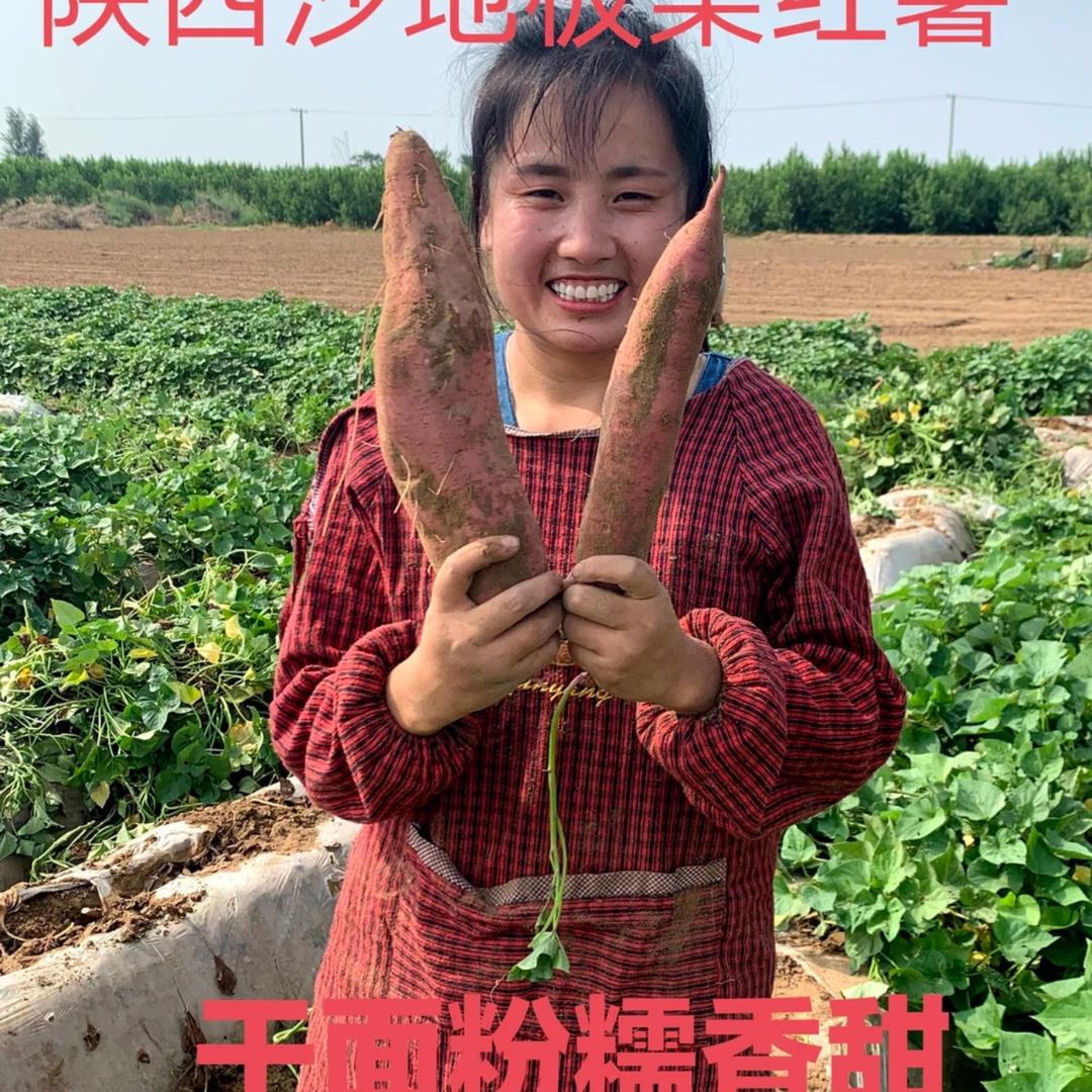 唐汉优选1