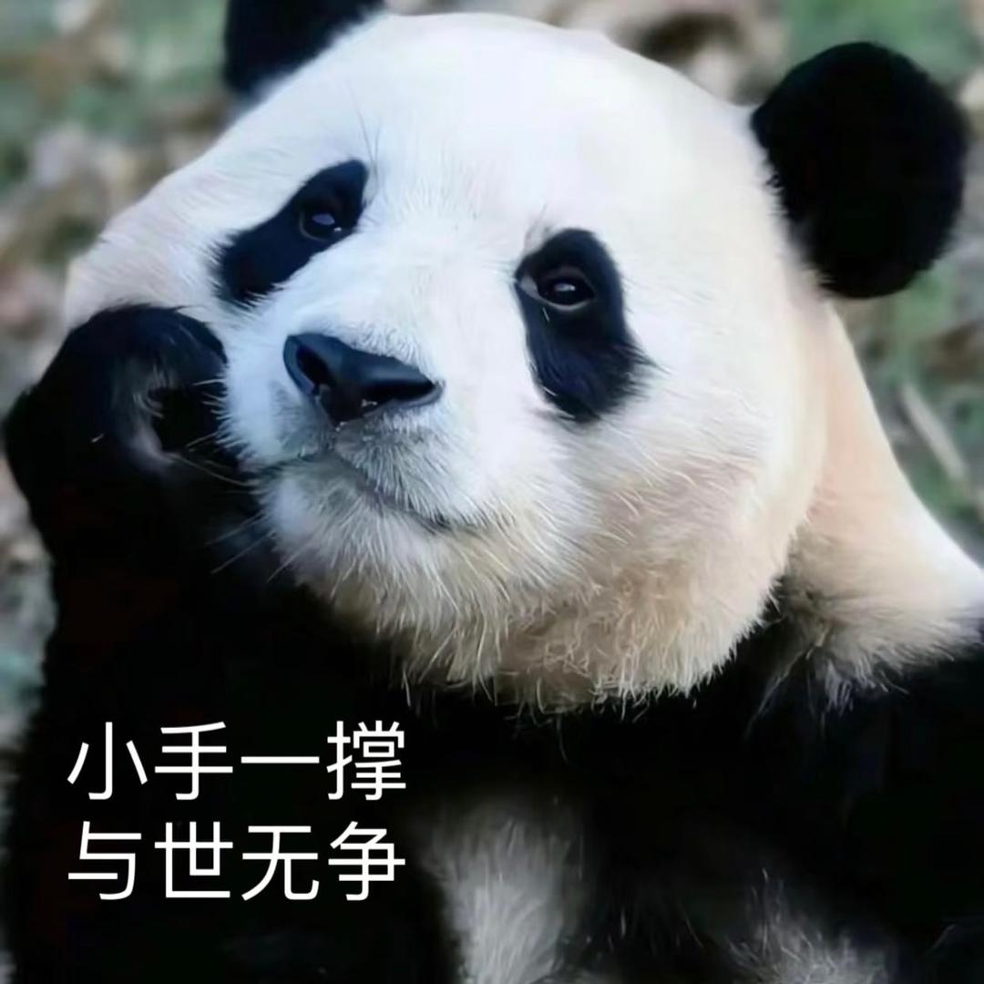 大能猫