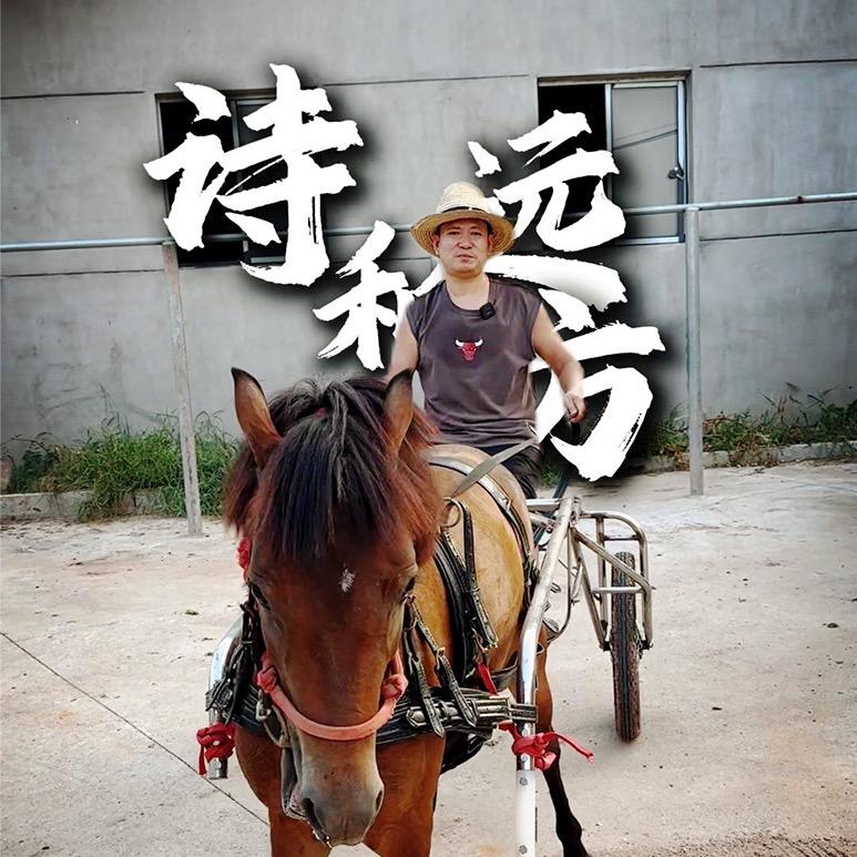 总裁的牧场日记