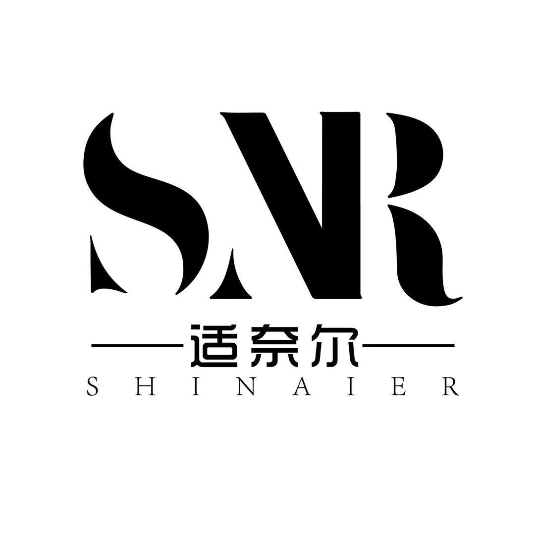 适奈尔品质男鞋