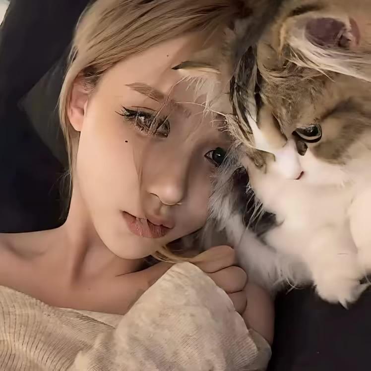 凌虞🪷