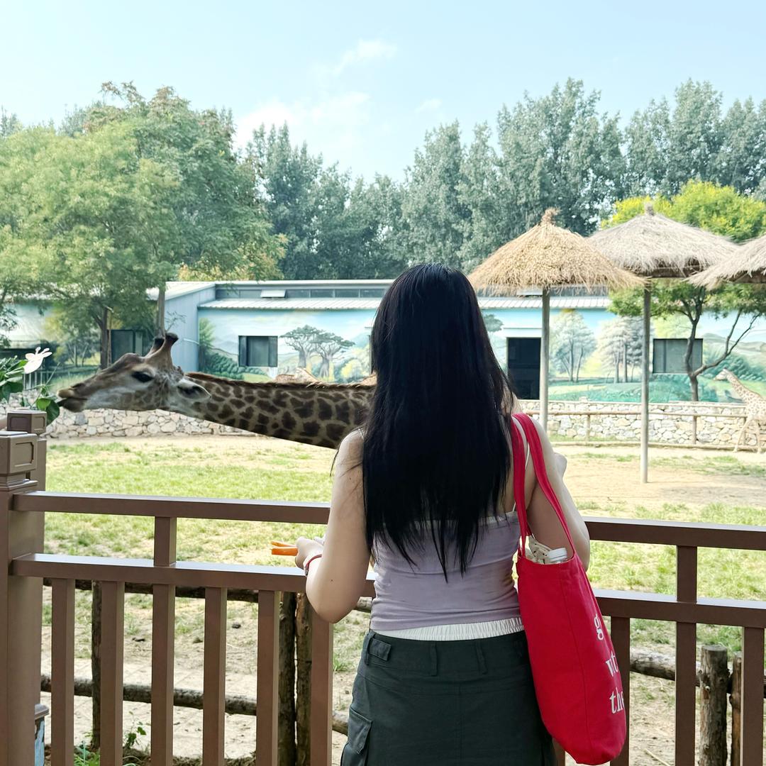 8是小熊