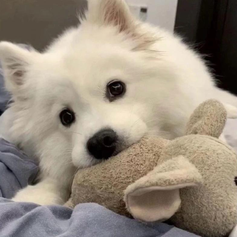 熊熊🥰