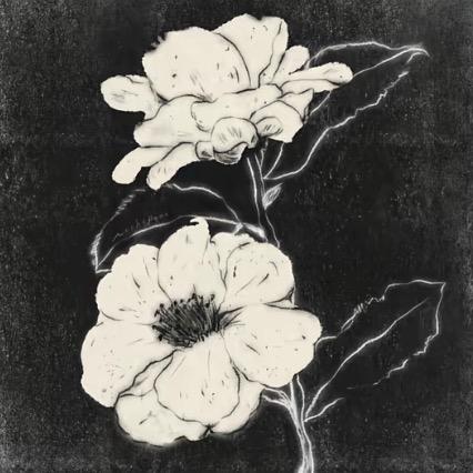 利群还我少女音