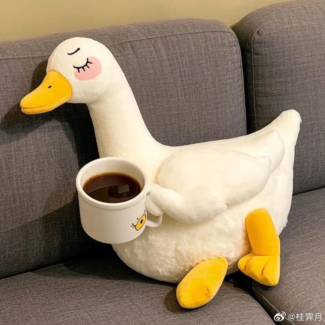 装鱿鱼被烤了