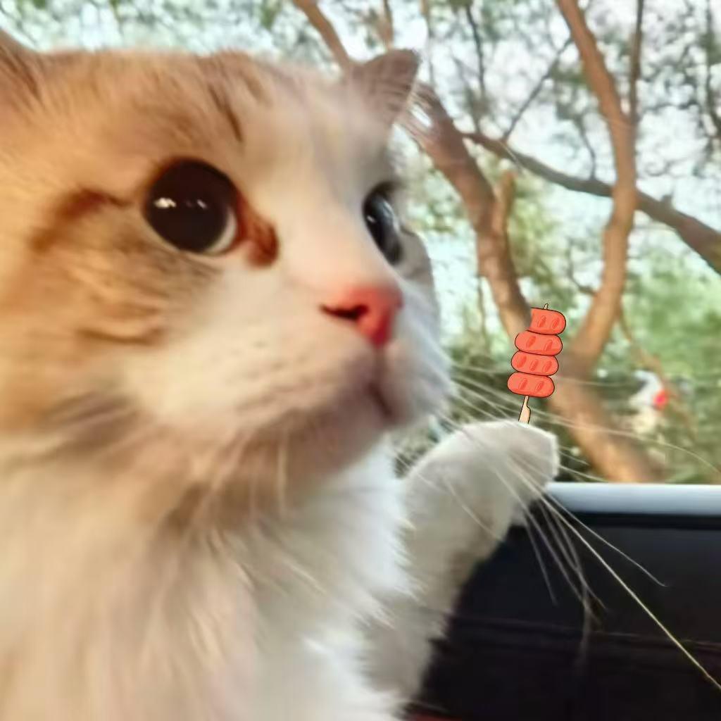明月不为我而来