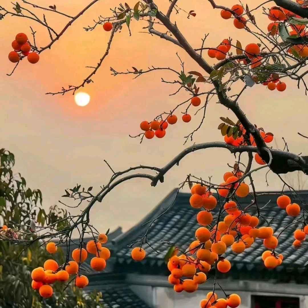 瓶子