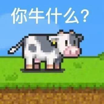 趣趣
