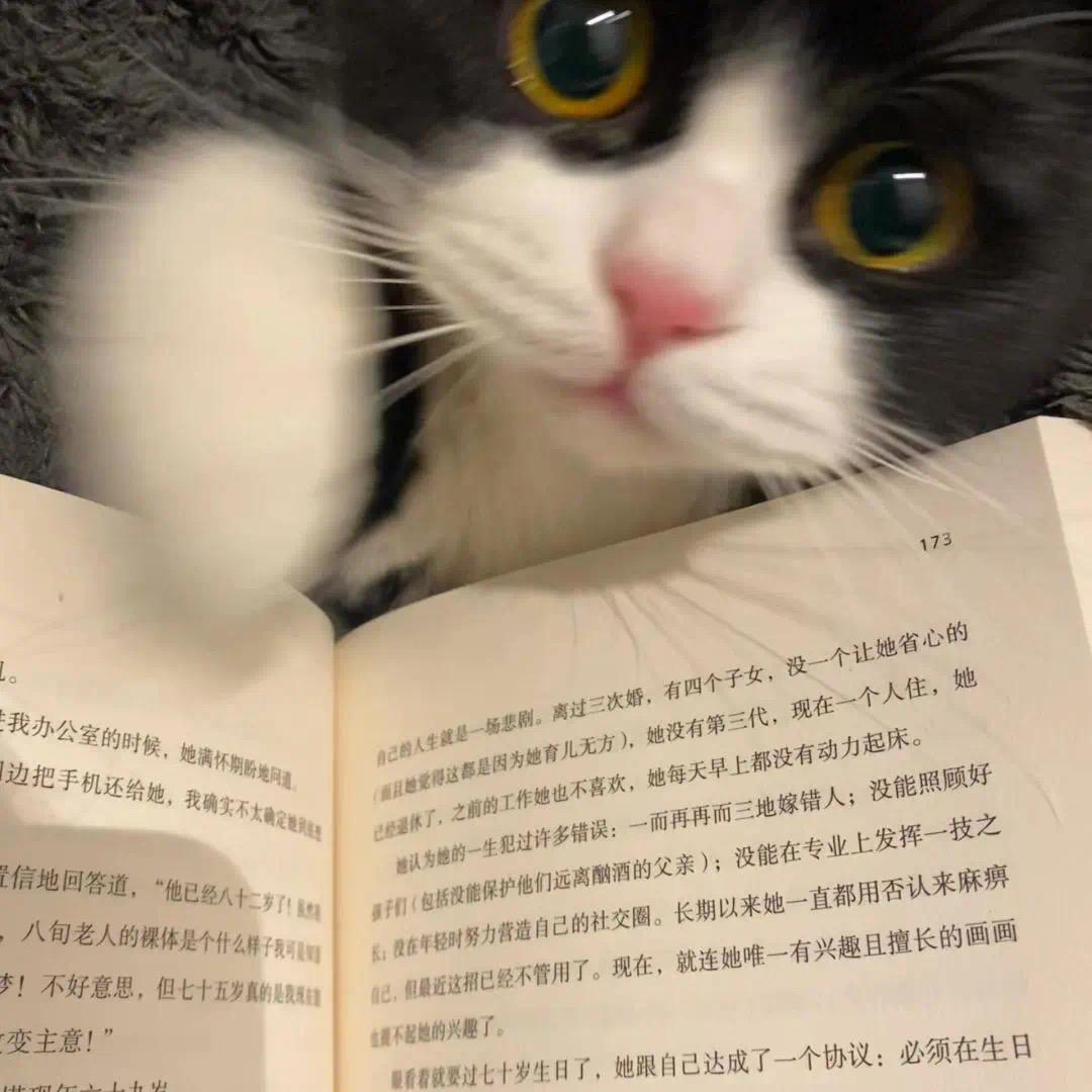 超级无敌装甲狗