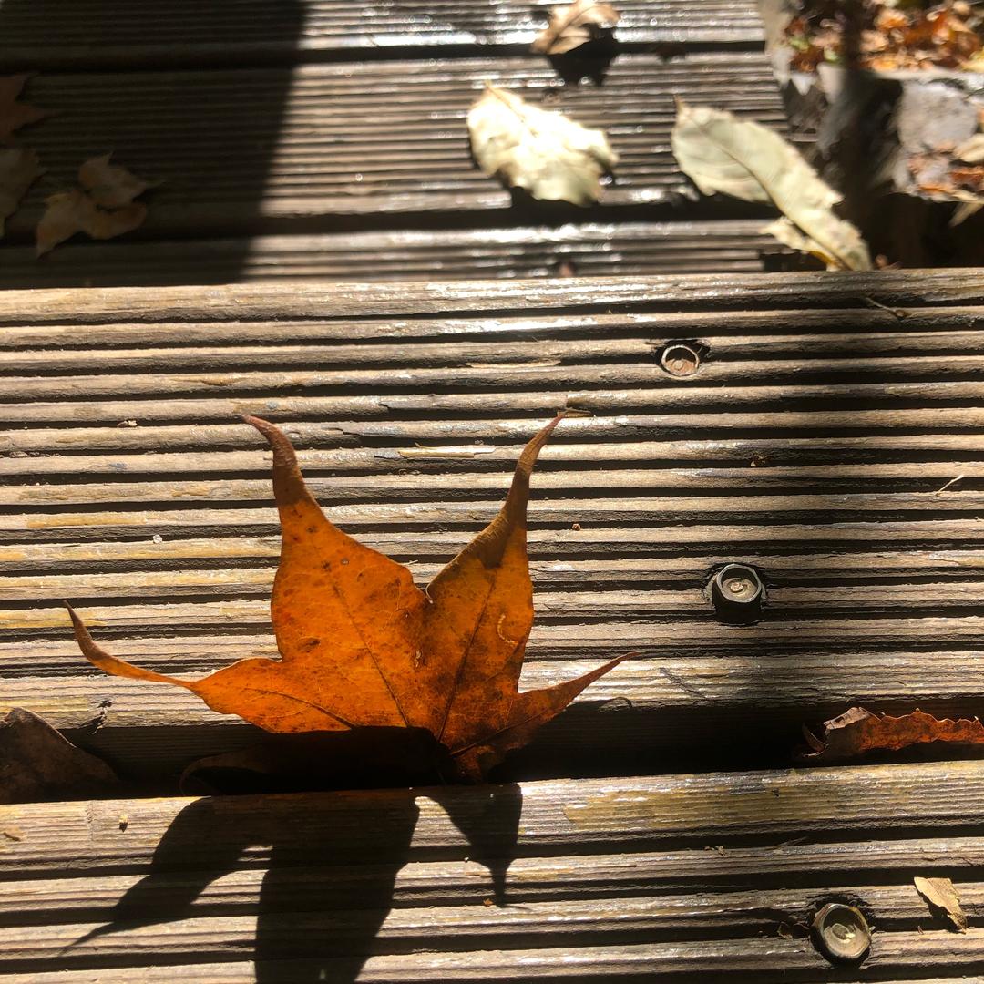 尝乐坊（❤点❤）