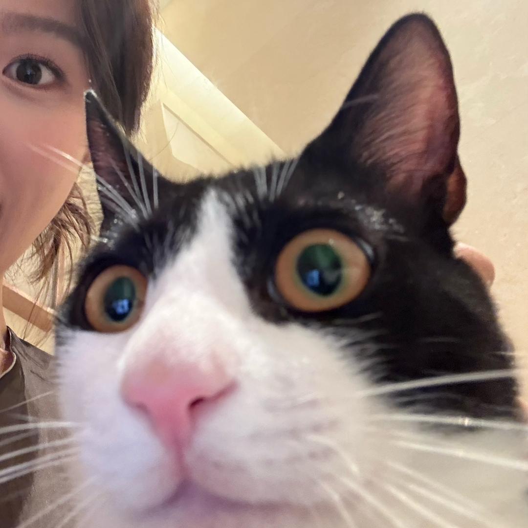 每天都在想吃什么