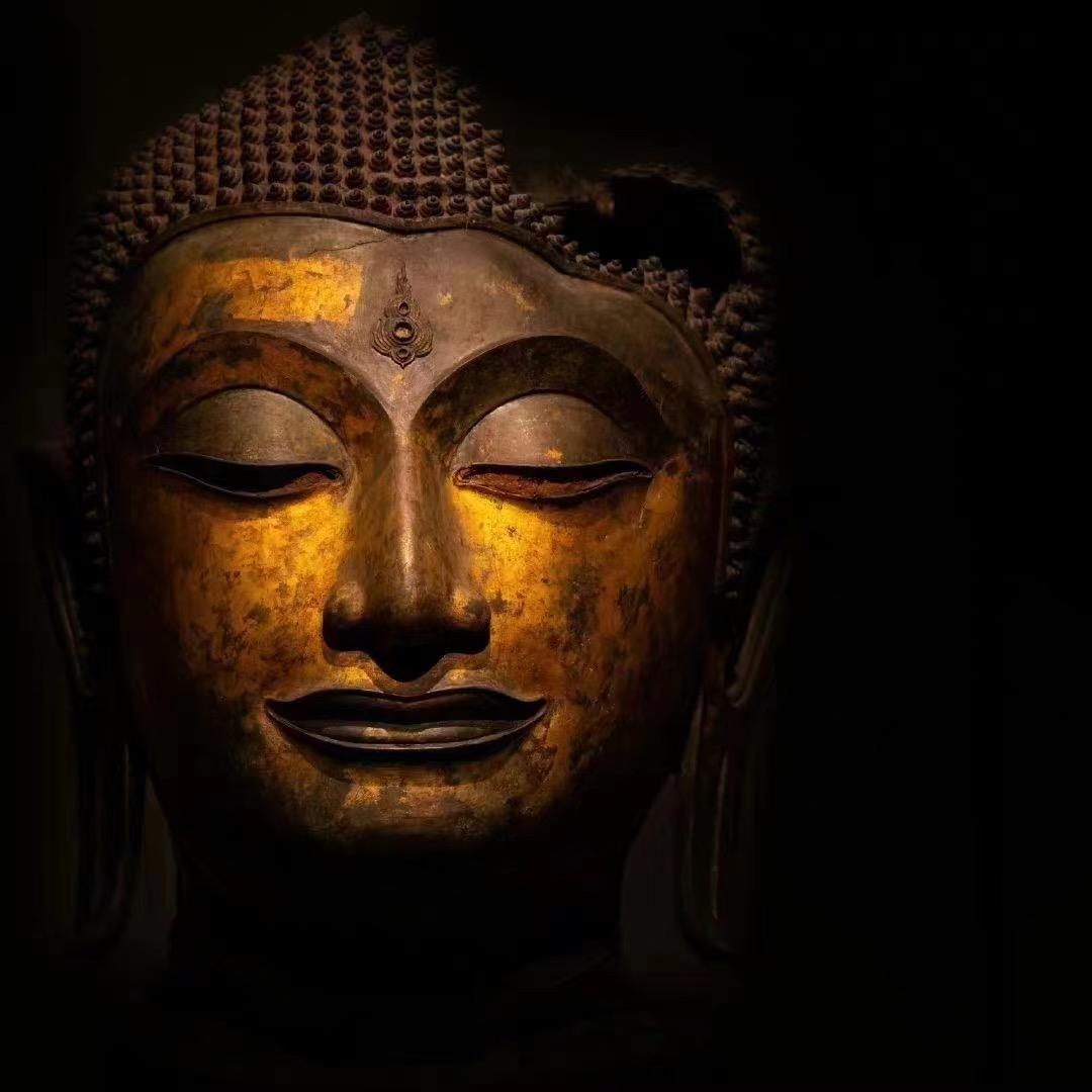 人生智慧文化传承